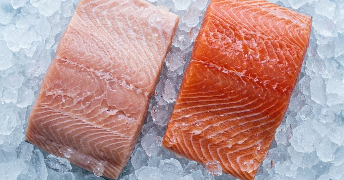 Farmed Salmon Has a Contaminant Problem